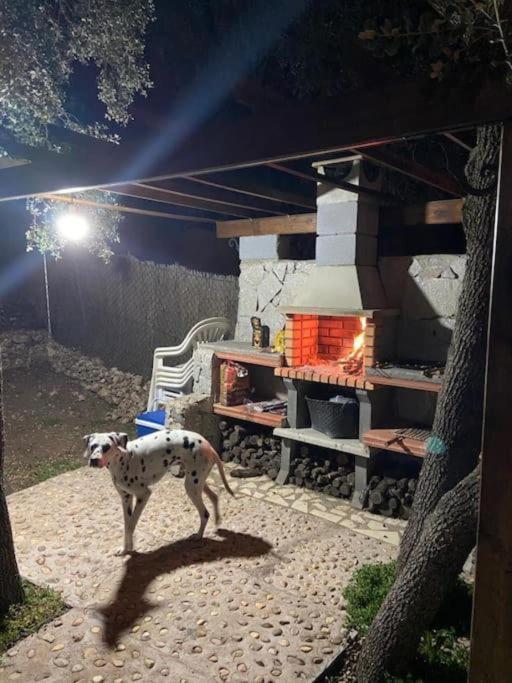 Desconexion Y Paz, Cabana En La Sierra Albalate De Zorita Exteriér fotografie